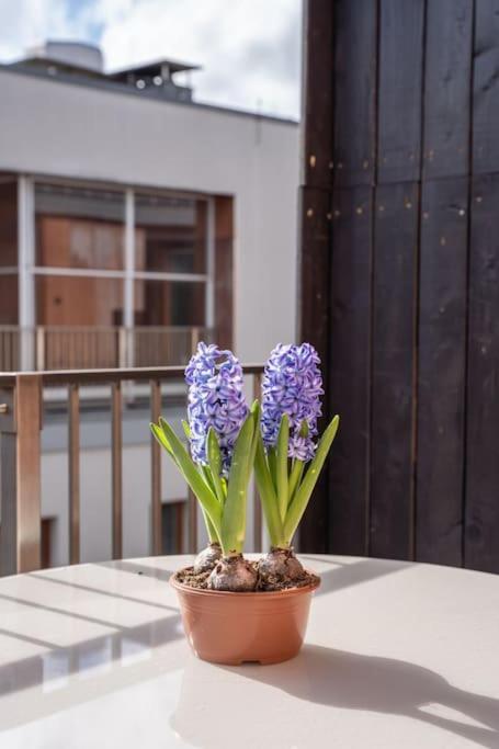 New Loft With Rooftop Terrace In The Old Town Riga Exteriör bild
